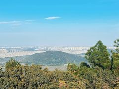-树山生态村