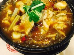 砂锅鱼-老砂锅(城北店)