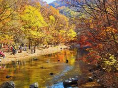 -关门山森林公园