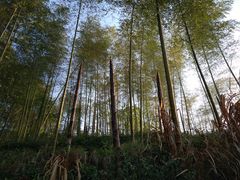 -天堂寨大别山人家2号(天堂寨店)