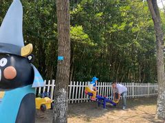 -上海海湾国家森林公园