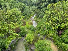 -云溪植物园