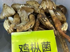-菌海森林·非遗野生菌火锅(西山区滇池路摩根道店)
