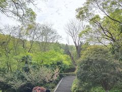 -南山风景名胜区