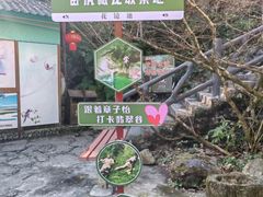 -黄山翡翠谷景区