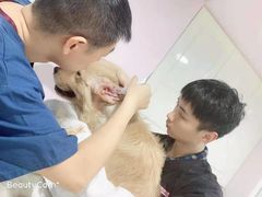 -哆趣宠物医院·眼科·内镜·急重症转诊中心(上海店)