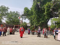 -大槐树寻根祭祖园