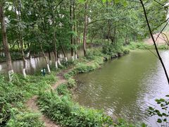 -桤木河湿地公园