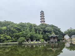 -江心屿景区
