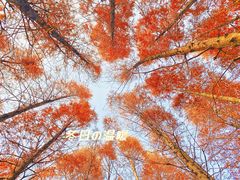 -尚贤河湿地