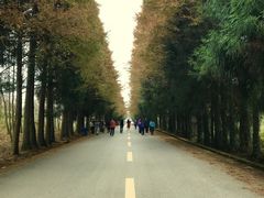 -山王坪喀斯特国家生态公园