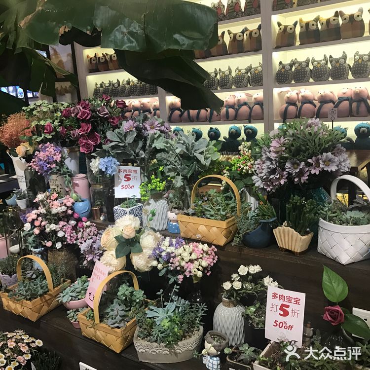 可以看的到鼓楼的鸟窝