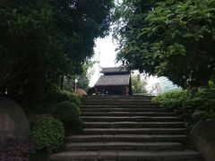 -活水公园