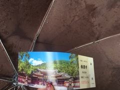 -峨眉山报国寺