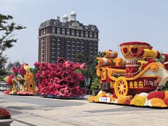 -荷兰花海