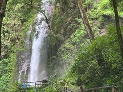 -莫里热带雨林景区