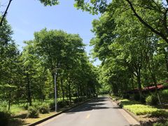 -浙江农林大学(东湖校区)