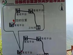 -大岭沟猕猴桃谷风景区
