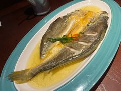 花雕醉黄鱼-寻宝记绍兴菜(鲁迅路店)