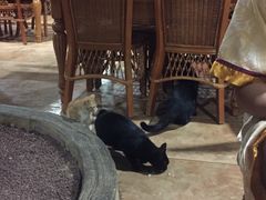 -龙达温泉生态城
