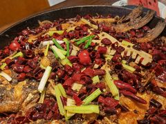 -老板恋上鱼(印象城店)