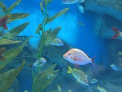 -泉城欧乐堡海洋极地世界