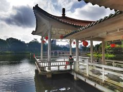 -荔湾湖公园