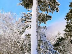-中旅松花湖滑雪场