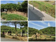 -杭州野生动物世界