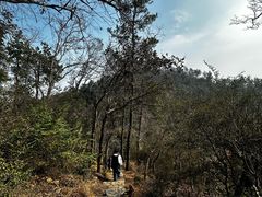 -青龙山国家森林公园