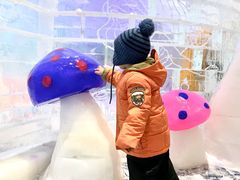 -宁波冰雪大世界(北仑区)