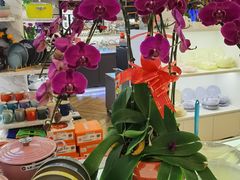 -燕莎友谊商城(亮马桥店)