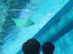 -常州海昌海洋探索馆