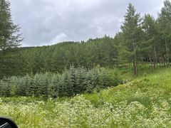 -塞罕坝国家级自然保护区