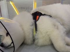 -中国体育彩票(竞彩店)