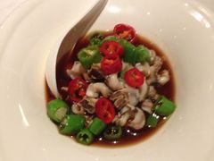 螺肉-西郊5号·Maggie 5