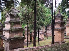 -少林寺欢喜地素斋馆