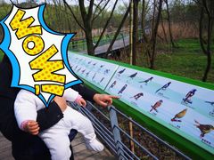 -西湖风景区-江洋畈生态公园