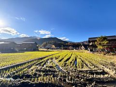 -白川乡与五箇山的合掌构造村落