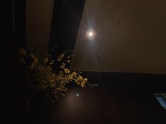 -villaa·别墅·融合菜西餐厅