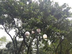 -晓港公园