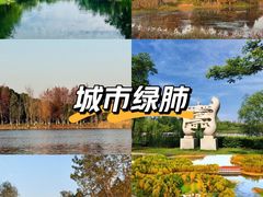 -洋湖国家湿地公园