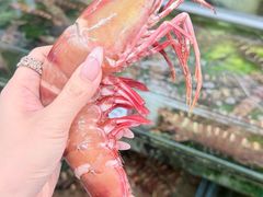 -双天海鲜楼 · 43年老字号