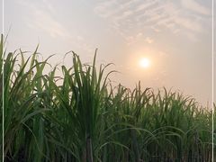 -汉长安城未央宫国家考古遗址公园