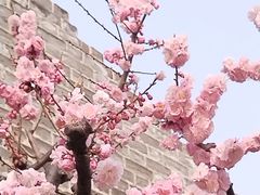 -北京明城墙遗址公园