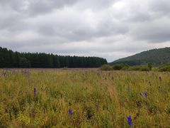 -塞罕坝国家级自然保护区