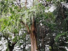 -红军总政治部旧址