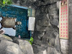 -汴河街