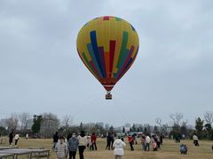 -祥源·阜阳生态乐园