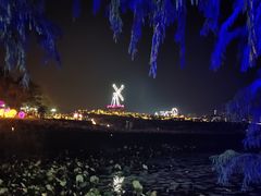 -大塘金香草谷